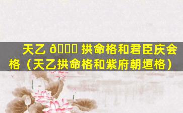 天乙 💐 拱命格和君臣庆会格（天乙拱命格和紫府朝垣格）